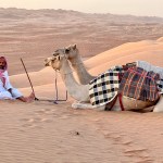 Camel Riding in the desert
