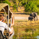 Incentive Trips in South Africa